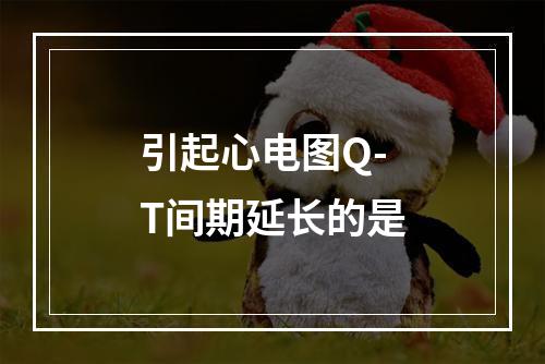 引起心电图Q-T间期延长的是