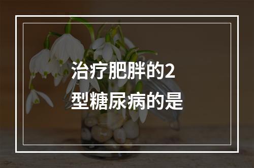 治疗肥胖的2型糖尿病的是