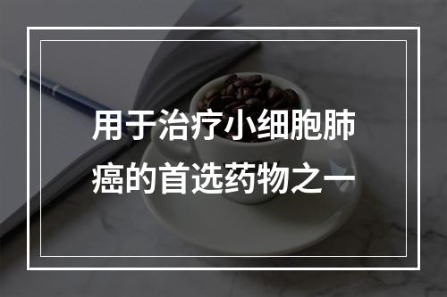 用于治疗小细胞肺癌的首选药物之一