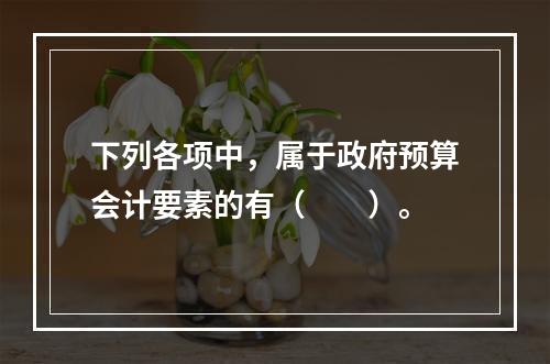 下列各项中，属于政府预算会计要素的有（　　）。