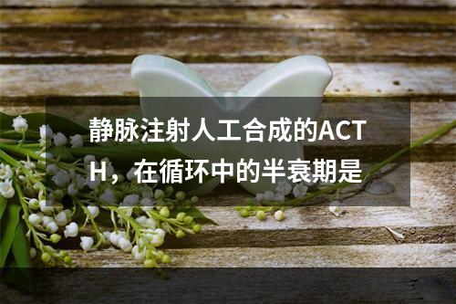 静脉注射人工合成的ACTH，在循环中的半衰期是