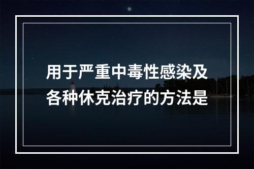 用于严重中毒性感染及各种休克治疗的方法是