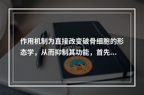 作用机制为直接改变破骨细胞的形态学，从而抑制其功能，首先阻止