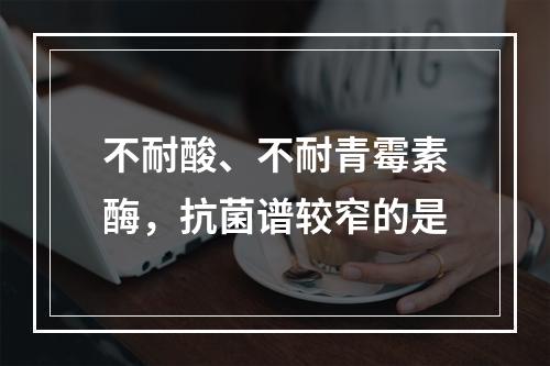 不耐酸、不耐青霉素酶，抗菌谱较窄的是