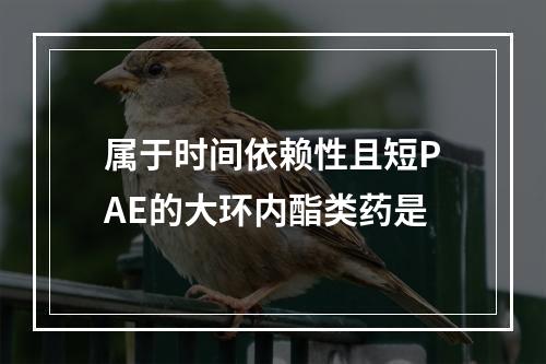 属于时间依赖性且短PAE的大环内酯类药是