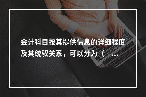 会计科目按其提供信息的详细程度及其统驭关系，可以分为（　　）