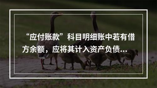 “应付账款”科目明细账中若有借方余额，应将其计入资产负债表中