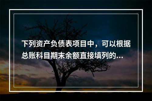 下列资产负债表项目中，可以根据总账科目期末余额直接填列的是（