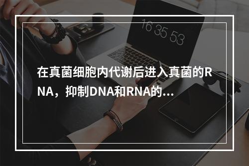 在真菌细胞内代谢后进入真菌的RNA，抑制DNA和RNA的合成