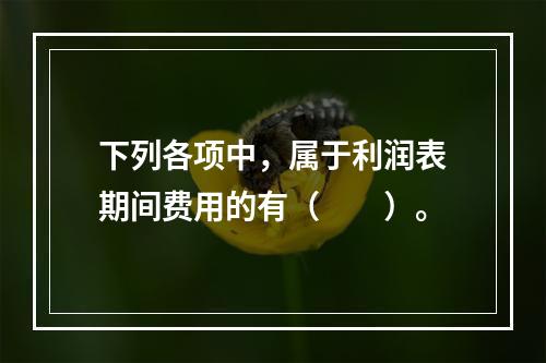 下列各项中，属于利润表期间费用的有（　　）。