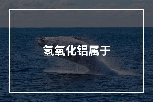 氢氧化铝属于