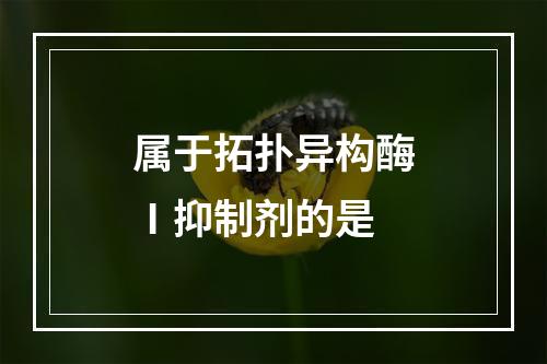 属于拓扑异构酶Ⅰ抑制剂的是