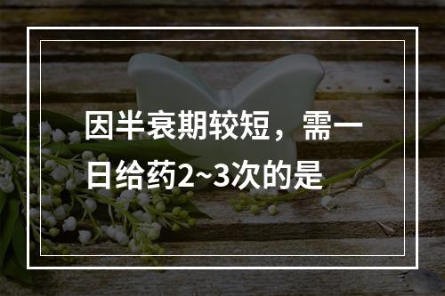 因半衰期较短，需一日给药2~3次的是