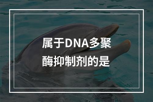 属于DNA多聚酶抑制剂的是