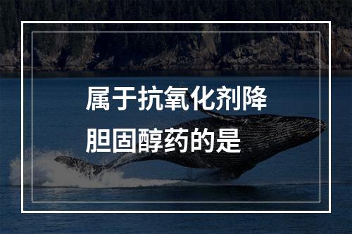 属于抗氧化剂降胆固醇药的是