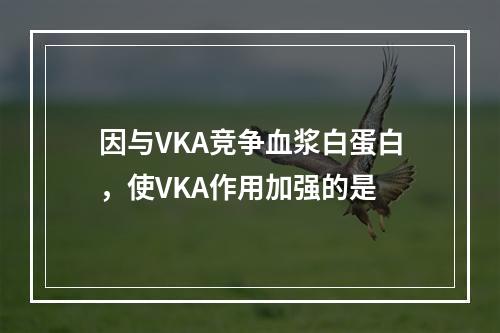 因与VKA竞争血浆白蛋白，使VKA作用加强的是