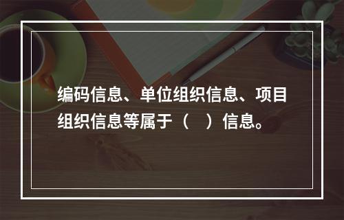 编码信息、单位组织信息、项目组织信息等属于（　）信息。