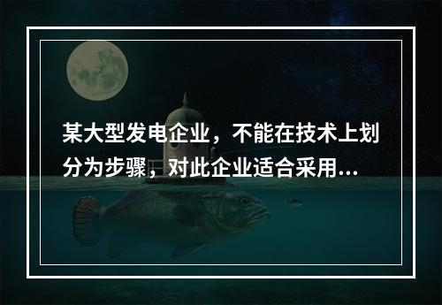 某大型发电企业，不能在技术上划分为步骤，对此企业适合采用的成