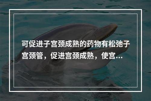 可促进子宫颈成熟的药物有松弛子宫颈管，促进宫颈成熟，使宫口开