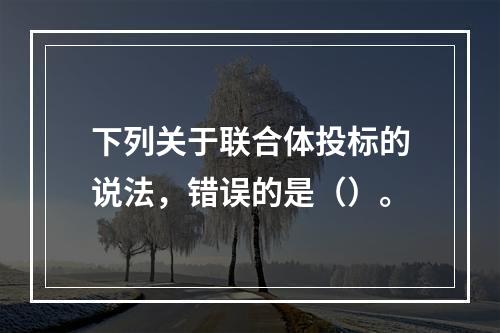 下列关于联合体投标的说法，错误的是（）。