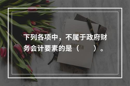 下列各项中，不属于政府财务会计要素的是（　　）。