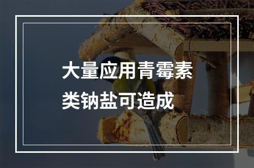 大量应用青霉素类钠盐可造成