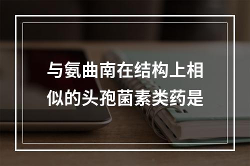 与氨曲南在结构上相似的头孢菌素类药是