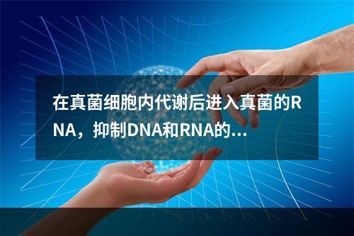 在真菌细胞内代谢后进入真菌的RNA，抑制DNA和RNA的合成