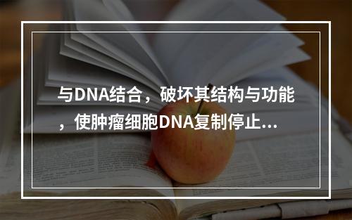 与DNA结合，破坏其结构与功能，使肿瘤细胞DNA复制停止，阻