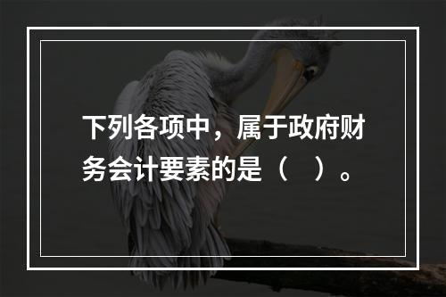 下列各项中，属于政府财务会计要素的是（　）。