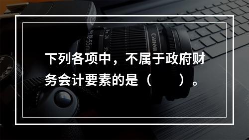 下列各项中，不属于政府财务会计要素的是（　　）。