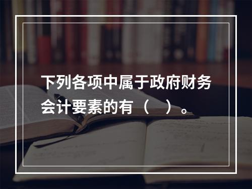 下列各项中属于政府财务会计要素的有（　）。