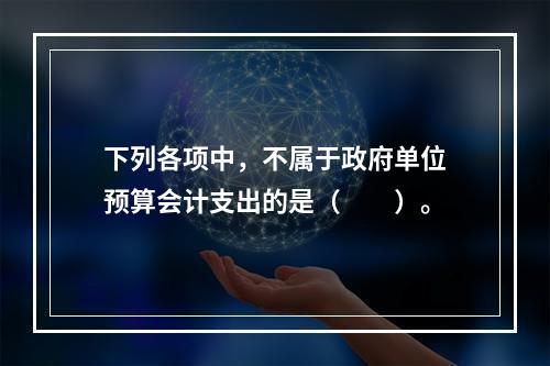 下列各项中，不属于政府单位预算会计支出的是（　　）。