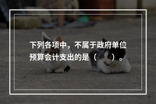 下列各项中，不属于政府单位预算会计支出的是（　　）。