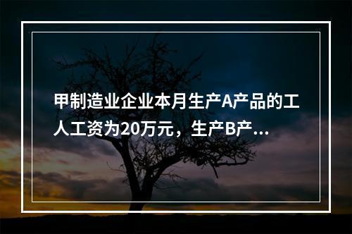 甲制造业企业本月生产A产品的工人工资为20万元，生产B产品的