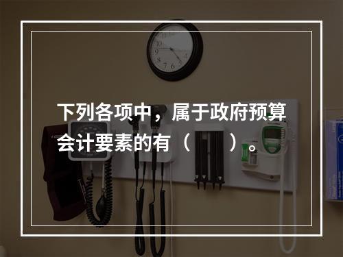 下列各项中，属于政府预算会计要素的有（　　）。