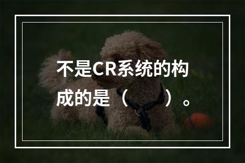 不是CR系统的构成的是（　　）。