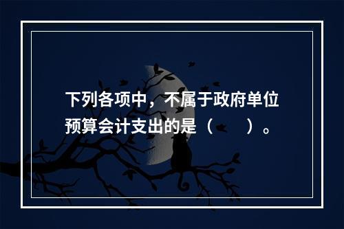 下列各项中，不属于政府单位预算会计支出的是（　　）。