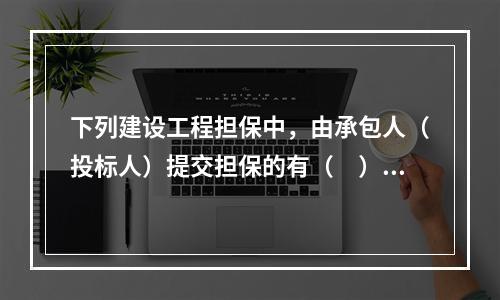 下列建设工程担保中，由承包人（投标人）提交担保的有（　）。