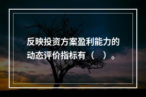 反映投资方案盈利能力的动态评价指标有（　）。