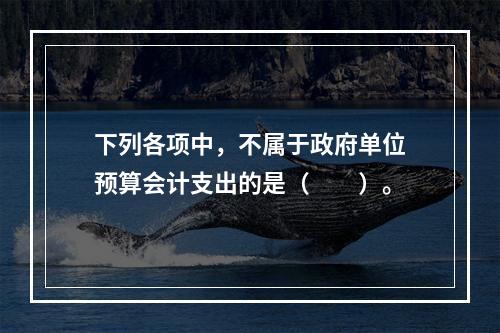 下列各项中，不属于政府单位预算会计支出的是（　　）。