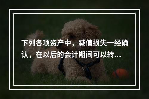 下列各项资产中，减值损失一经确认，在以后的会计期间可以转回的