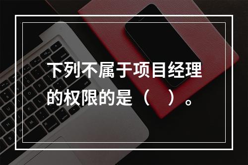 下列不属于项目经理的权限的是（　）。