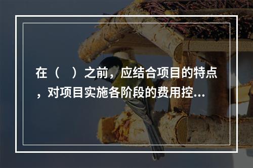 在（　）之前，应结合项目的特点，对项目实施各阶段的费用控制、