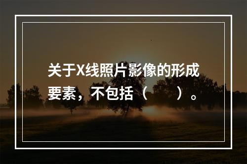 关于X线照片影像的形成要素，不包括（　　）。