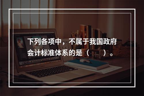 下列各项中，不属于我国政府会计标准体系的是（　　）。