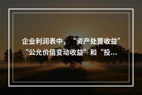 企业利润表中，“资产处置收益”“公允价值变动收益”和“投资收