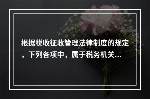 根据税收征收管理法律制度的规定，下列各项中，属于税务机关发票