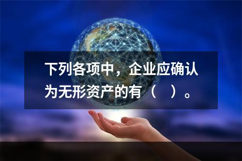 下列各项中，企业应确认为无形资产的有（　）。