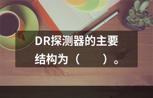 DR探测器的主要结构为（　　）。